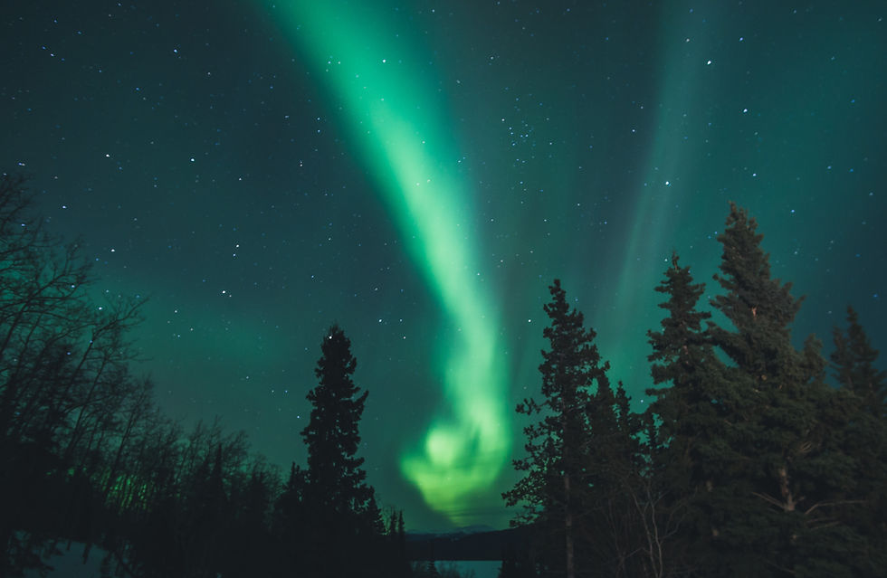 Northern Lights